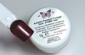 Premium Farbgel mit Glitter Dark (FGMS-164) im Softline...