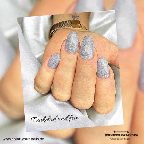 Premium Silver - Line Glamgel, 5g. Farbgele mit silber Glitzer Silver Shine (FGG-81)