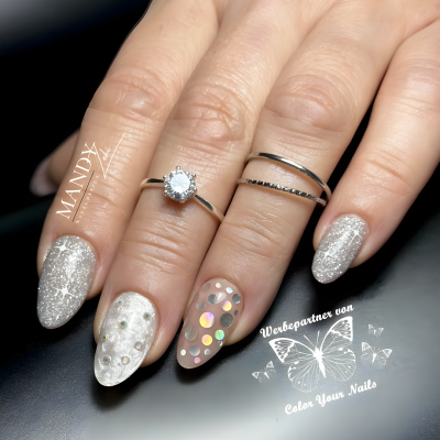 Premium Silver - Line Glamgel, 5g. Farbgele mit silber Glitzer Silver Shine (FGG-81)