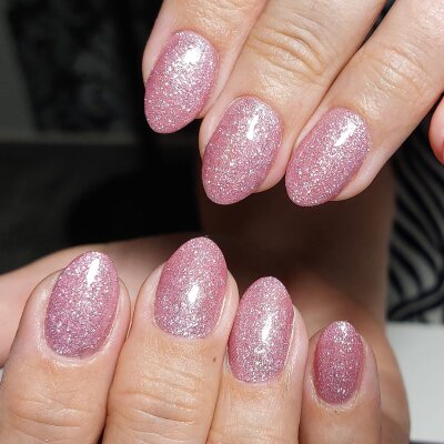 Premium Silver - Line Glamgel, 5g. Farbgele mit silber Glitzer Petal Pink (FGG-98)