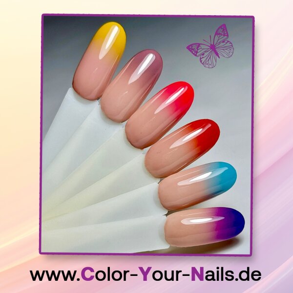 Ombre Greifer & Ombre Schwämmchen Set: Greifer & 100 Schwämme