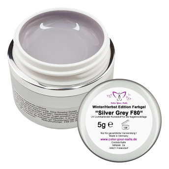 5g Premium Herbst / Winter Farbgel. Silver Grey  (FGMS-80)