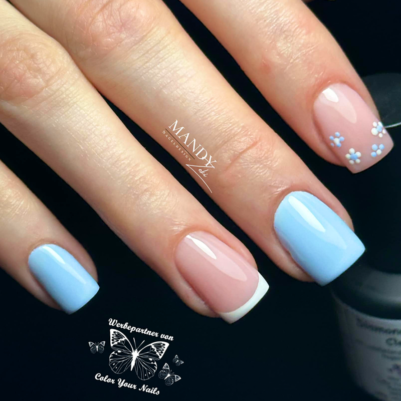 Dessert Pastell Farbgel, 5g Blueberry (blau) (PFG-04)